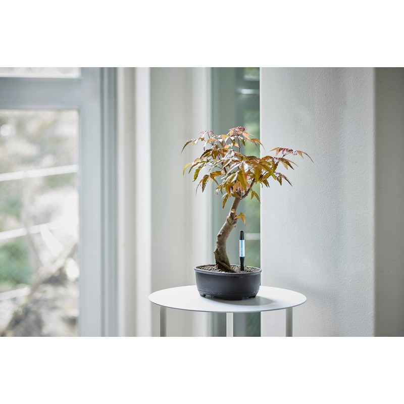 Cabinoche SUSTEE Watering Checker Susty, Set of 5, S Black