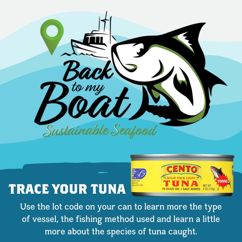 Cento Solid Pack Light Tuna in Olive Oil, 5 Oz