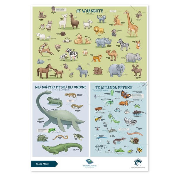 Illustrated Publishing Te Reo Māori - Animals A2 Poster