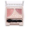 Canmake Powder Juicy Pure Eyes 14 Tender Flower, 0.05 oz