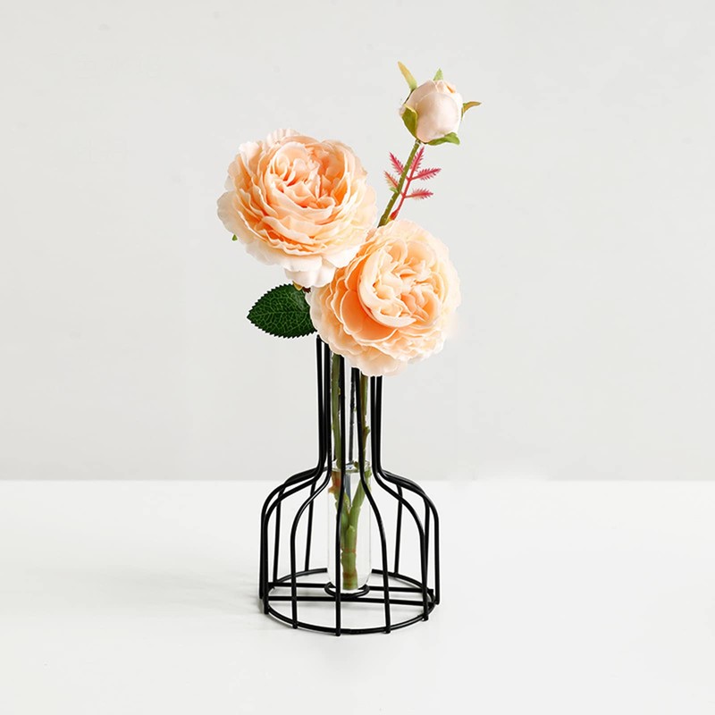 2 Pcs Black Flower Vase with Metal Frame, Clear Glass