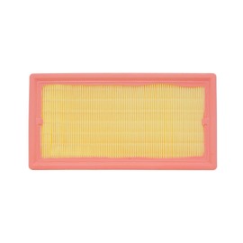 RIDEX 8A0429 Motor Luftfilter Umluftfilter