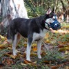 BARKLESS Dog Muzzle, Soft Basket Silicone Muzzle for Dogs to