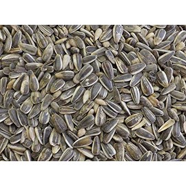 DelightFood Bulk Black Striped Sunflower Seed for Birds, Wild Bird Feed (2 Pound (Pack of 1))