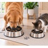 Slow Feeder Insert for Dogs & Cats – Suction Cup