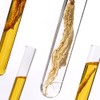 Withshan Root Repair Nail Nutrient 15ml / 위드샨 루트 리페어