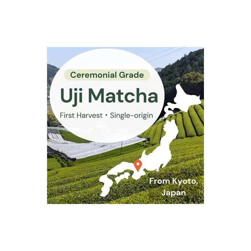 Wako Matcha Uji Ceremonial 40 G - Té Verde En