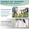 Dog Knee Brace for Back Leg Fit Large Middle Small