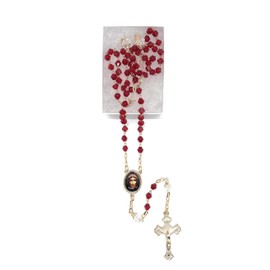 SFI Precious Blood Rosary 21inches, 21 Inches, Metal, stainless steel