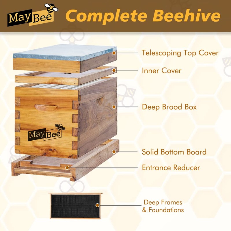 MayBee 5-Frame Nuc Beehive for Bees Complete Bee Hive Box