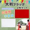 BOLSO Class Flags, Streamer Flags, 2 Sheets, White, Red, Approx.
