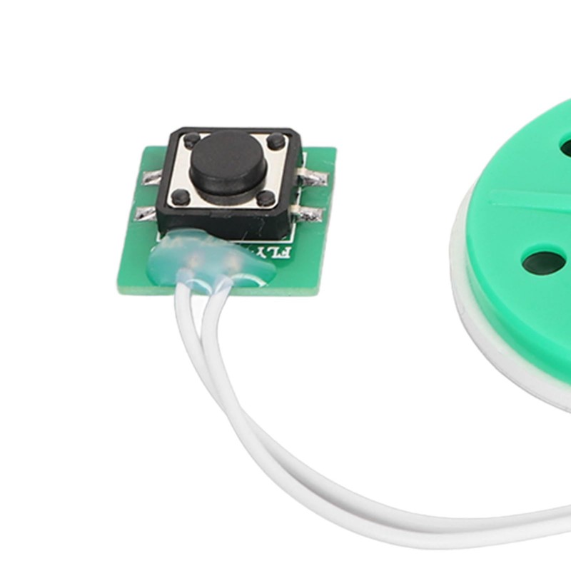 Writeable Sound Chip, Sound Voice Recording Playback Module with Double-Sided