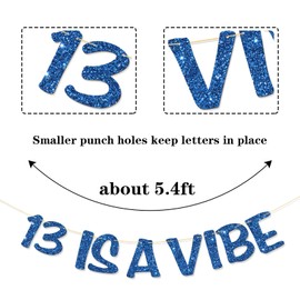 RoadSea 13 is a Vibe Banner - Happy 13th Birthday Party Supplies - 13 Idea and Gift - Boy Girl 13th Birthday Party Decorations - Blue Glitter