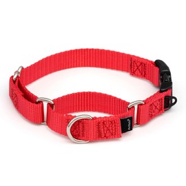 PetSafe Martingale Collar con Hebilla de Cierre rápido, 3/4 Pulgadas pequeño, Rojo, 1