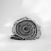 Purity Home 100% Cotton Fitted Sheet Single Bed 90 x