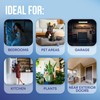 EverOne Glue Card Refills for Indoor Fly Trap – 3
