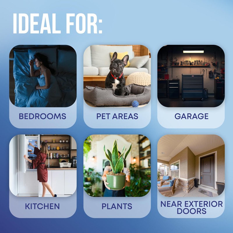 EverOne Glue Card Refills for Indoor Fly Trap – 3