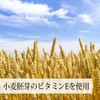 自然健康社 ビタミン E球 90g×2個 400粒 サプリ 大豆 レシチン 小麦胚芽油 カプセル