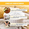 Corn Starch (200g / 7.05 oz) | Maize Starch |