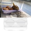 NA Reptile Feeding Ledge with 10 Pcs Water Food Bowl