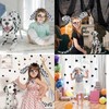 Playing Dalmatian Costume Set for Young People - Includes Fluffy