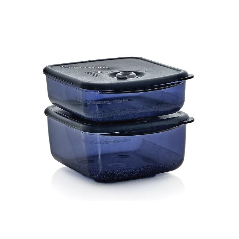 Tupperware Vent N Serve 2pc Medium Set Indigo/Mist, Blue