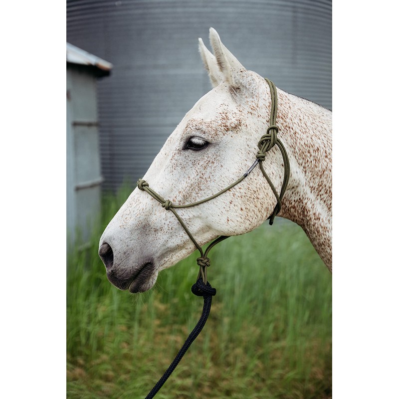 Knotty Girlz 14FT Lead Rope with NP Snap