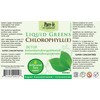Liquid Greens Chlorophyll Unflavoured 450ml - Balance pH, Energize, Detox