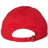 Safety Red Guard Dad Hat | Professional Lifeguard + Cap