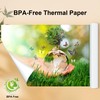 4 Rolls 8.5'' x 11'' Phomemo M832 Portable Printer Thermal