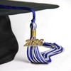 Endea Graduation Endea Graduation Mixed Double Color Tassel with Gold