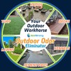Outdoor Odor Eliminator | Outside Dog Urine Enzyme Cleaner –