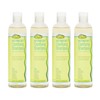 Clarifying Shampoo Sulfate-Free Detox for Natural Hair 12oz 4-Pack