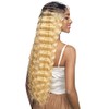 Vanessa Synthetic HD Lace Front Wig - MELT MANNY (SP1B/30)
