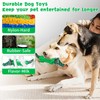 Indestructible Dog Chew Toys for Aggresive Chewers-Tough Dog Toys for