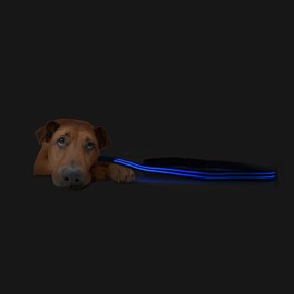 MaisonMaxx LED Dog Leash USB Rechargeable Night Safety & Visible for Your Dog(Neon Blue/5 Feet)