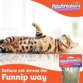 Pawbreakers® Funnip™ – Premium Catnip Treats for Cats & Kittens | Catnip Cat Treats, Fill These Catnips in Toys for Cat, Cats Snacks| No-Stick Fine Grind Catnips - Made in USA