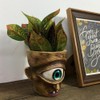Eye Head Resin Flower Pot Decorative Indoor Outdoor Planter Round