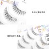 False Eyelashes, 5 Pairs, Natural, Natural, Eyelashes, Popular, Thin Transparent