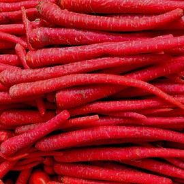 Carrot Seeds - Kyoto Red - 1 Oz ~25000 Seeds - Non-GMO, Heirloom - Asian Garden Vegetable
