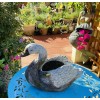 KY Garden Gray Swan Pot 12inch