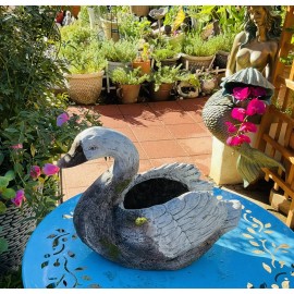 KY Garden Gray Swan Pot 12inch