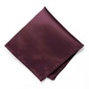 tiemart Wine Premium Pocket Square, Cocoa Bean