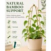 Moromyse Plant Trellis Indoor 16in Bamboo Trellis Loop - Shaped