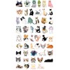 Stickers Waterproof, 100 Sheets, Helmet, Smartphone, Suitcase, Funny, PC, Skateboard,