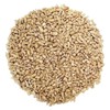 CountryMax Sunflower Chips Medium Sized Shelled No Waste Bird Seed