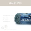 Lion Brand Yarn 505-153 Jeans Yarn, Stovepipe, Black