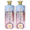 Organist Elastin Organist Himalayan Pink Salt Scalp Scaling Shampoo / Free, 1.1L, 2 bottles / 엘라스틴 오가니스트 히말라야 핑크솔트 두피스케일링 샴푸 /무료, 1.1L, 2개