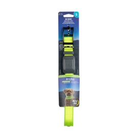 Nite Ize NiteDog Rechargeable LED Collar, USB Rechargeable Light Up Dog Collar w/Metal Buckle, Water Resistant, Lime