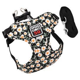 Reflective Dog Harness with Lead, Breathable Chest Harness, Cat Harness, Air Mesh, Dog Harness, Adjustable Puppy Harness for Small, Medium, Pets (Black)